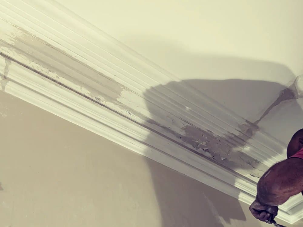 Cement Rendering
