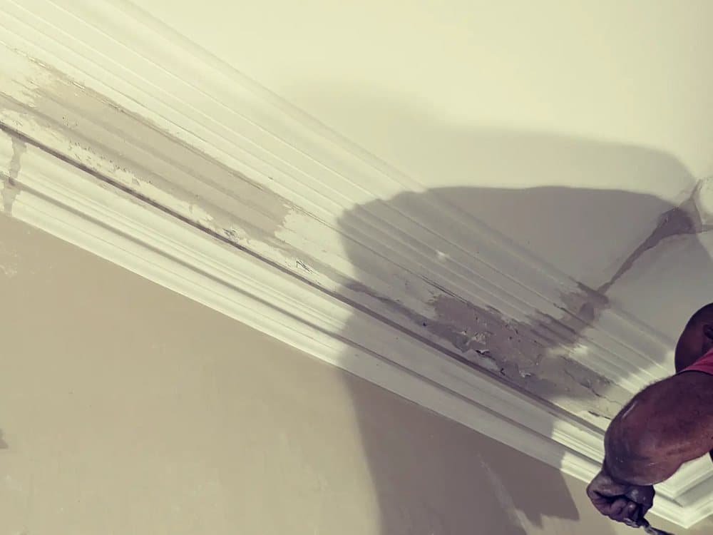Solid Plastering & Interior Sets